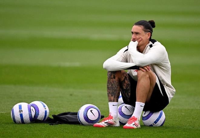 媒体和粉丝 媒体和粉丝