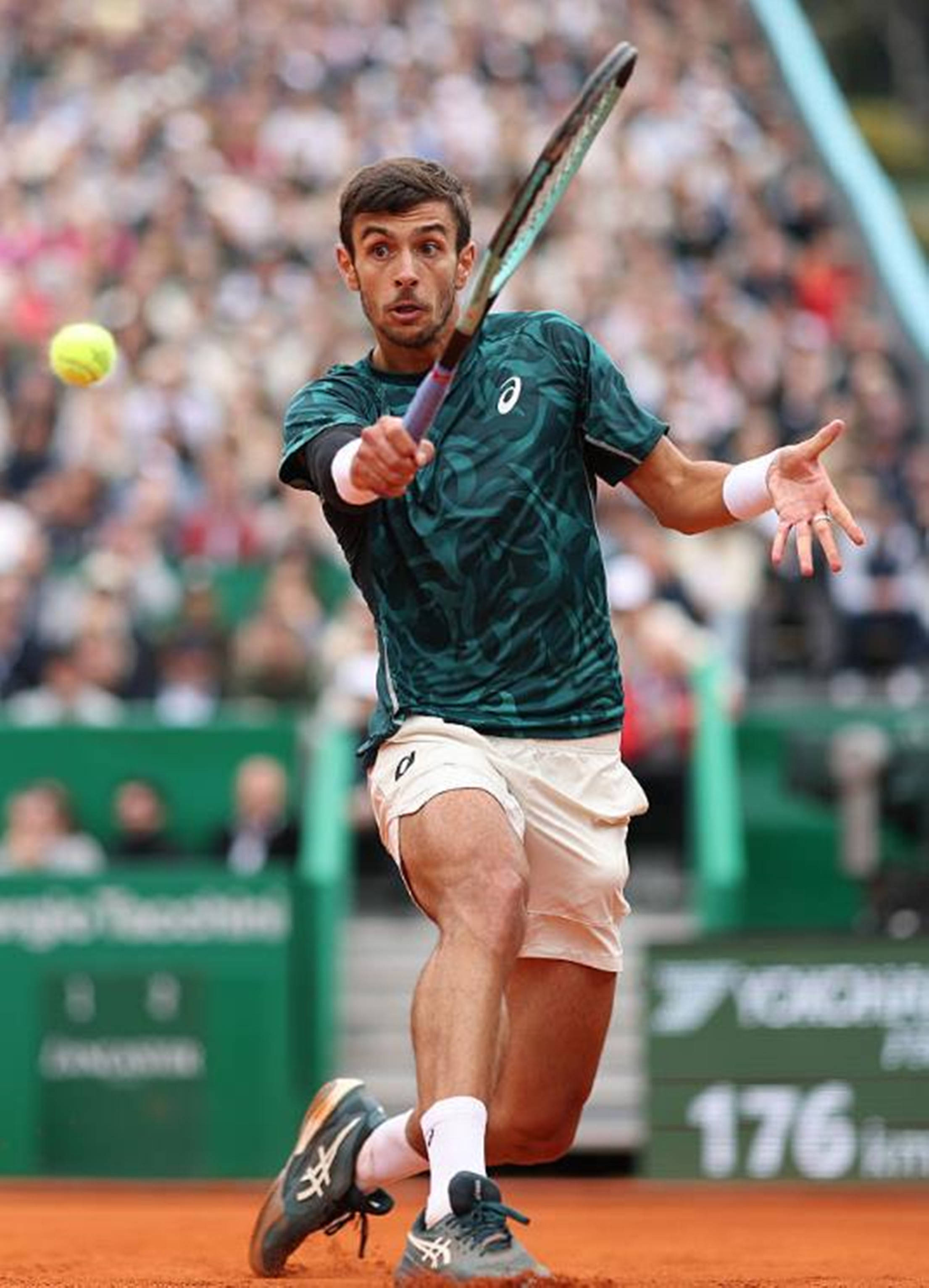 条款同样不 条款同样不